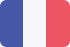 France Flag